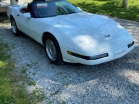 1991 Chevrolet Corvette for sale in Michigan (ID-127997)