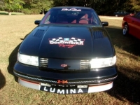 1991 Chevrolet Lumina for sale in Michigan (ID-96904)
