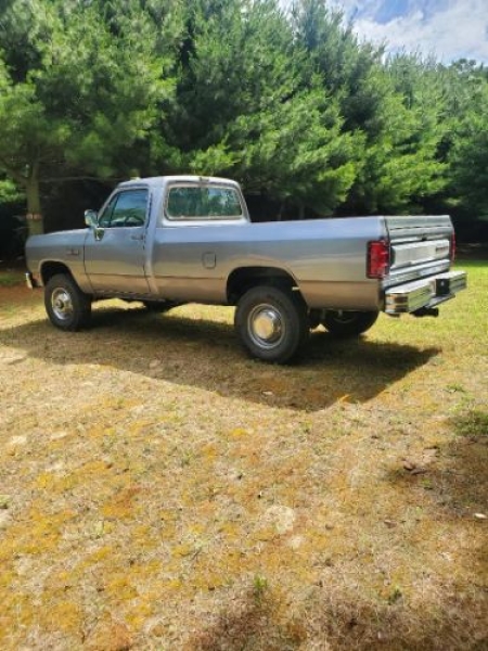 1991 Dodge W250 for sale in Michigan (ID-144379)