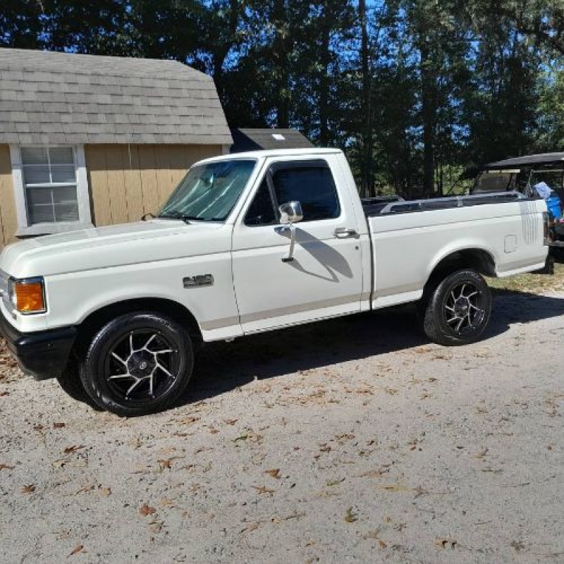 1991 Ford F150 for sale in Michigan (ID-145434)