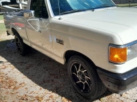 1991 Ford F150 for sale in Michigan (ID-145434)