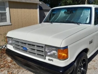 1991 Ford F150 for sale in Michigan (ID-145434)