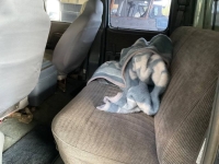 1991 Ford F350 for sale in Michigan (ID-164585)