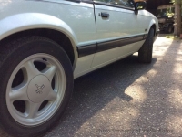 1991 Ford Mustang for sale in Riverhead, New York (ID-131453)