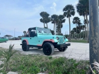 1991 Jeep Wrangler for sale (ID-114974)