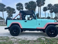 1991 Jeep Wrangler for sale (ID-114974)