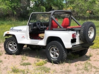 1991 Jeep Wrangler for sale in Michigan (ID-122000)
