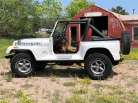 1991 Jeep Wrangler for sale in Michigan (ID-122000)