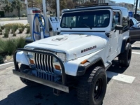 1991 Jeep Wrangler for sale in Michigan (ID-127117)