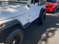 1991 Jeep Wrangler for sale in Michigan (ID-127117)