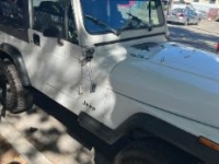 1991 Jeep Wrangler for sale in Michigan (ID-127117)
