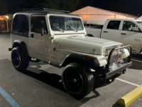 1991 Jeep Wrangler for sale in Michigan (ID-127117)