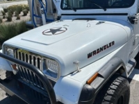 1991 Jeep Wrangler for sale in Michigan (ID-127117)