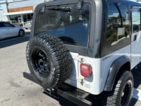1991 Jeep Wrangler for sale in Michigan (ID-127117)