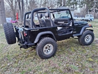 1991 Jeep Wrangler for sale in Michigan (ID-139003)