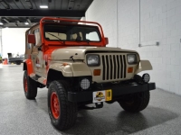 1991 Jeep Wrangler for sale in Michigan (ID-141396)