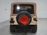 1991 Jeep Wrangler for sale in Michigan (ID-141396)