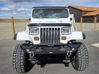 1991 Jeep Wrangler for sale in Michigan (ID-145507)