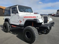 1991 Jeep Wrangler for sale in Michigan (ID-145507)