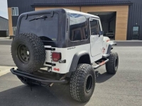 1991 Jeep Wrangler for sale in Michigan (ID-145507)