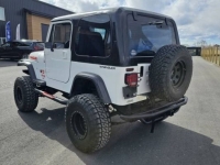1991 Jeep Wrangler for sale in Michigan (ID-145507)