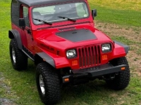 1991 Jeep Wrangler for sale in Michigan (ID-161324)
