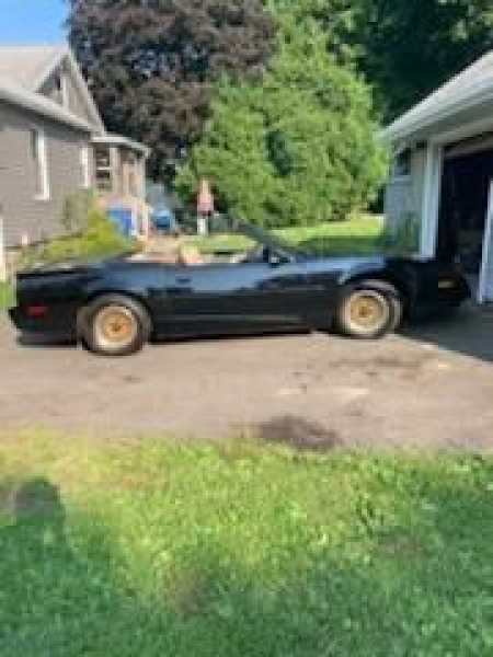1991 Pontiac Firebird for sale in Michigan (ID-109692)