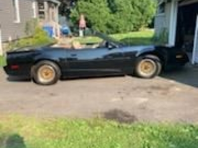 1991 Pontiac Firebird for sale