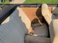 1991 Pontiac Firebird for sale in Michigan (ID-109692)