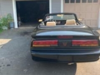1991 Pontiac Firebird for sale in Michigan (ID-109692)
