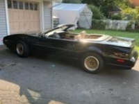 1991 Pontiac Firebird for sale in Michigan (ID-109692)