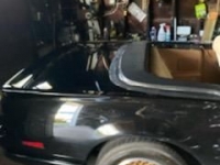 1991 Pontiac Firebird for sale in Michigan (ID-109692)