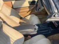 1991 Pontiac Firebird for sale in Michigan (ID-109692)