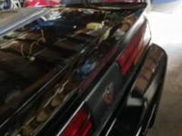 1991 Pontiac Firebird for sale in Michigan (ID-109692)