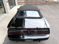1991 Pontiac Firebird for sale in Riverhead, New York (ID-114551)