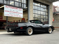 1991 Pontiac Firebird for sale in Riverhead, New York (ID-114551)
