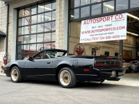 1991 Pontiac Firebird for sale in Riverhead, New York (ID-114551)