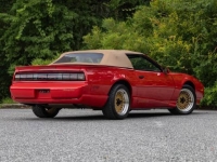 1991 Pontiac Firebird for sale in Addison, Illinois (ID-138220)