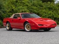 1991 Pontiac Firebird for sale in Addison, Illinois (ID-138220)
