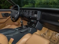 1991 Pontiac Firebird for sale in Addison, Illinois (ID-138220)
