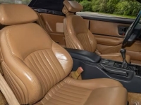 1991 Pontiac Firebird for sale in Addison, Illinois (ID-138220)