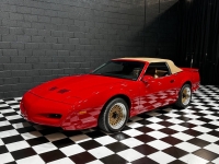 1991 Pontiac Firebird for sale in Addison, Illinois (ID-138688)