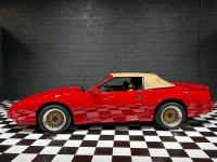 1991 Pontiac Firebird for sale in Addison, Illinois (ID-138688)