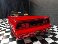 1991 Pontiac Firebird for sale in Addison, Illinois (ID-138688)