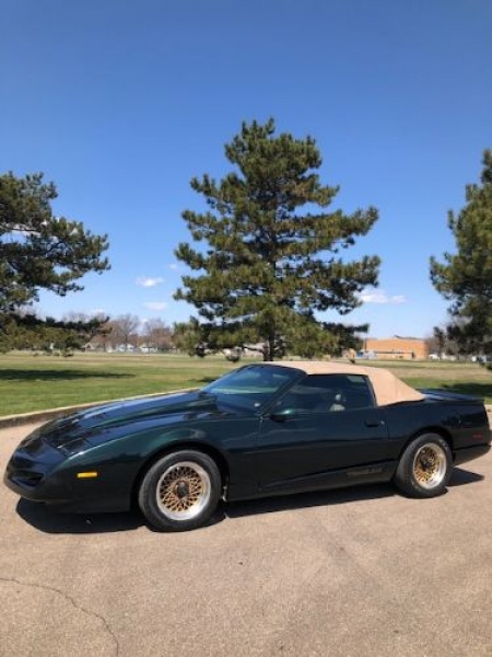1992 Pontiac Trans Am for sale in Michigan (ID-80316)