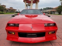 1992 Chevrolet Camaro for sale in Michigan (ID-114949)