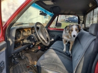 1992 Dodge D250 for sale in Michigan (ID-118897)