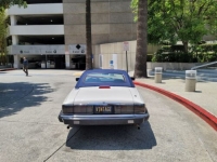 1992 Jaguar XJS for sale in Michigan (ID-103494)