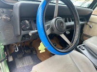 1992 Jeep Wrangler for sale in Michigan (ID-133581)