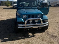 1992 Jeep Wrangler for sale in Michigan (ID-146005)